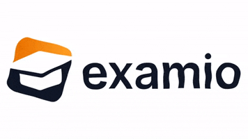 Examio Steuern GIF