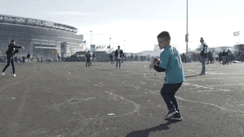Miami Dolphins GIF by Dolfans NYC