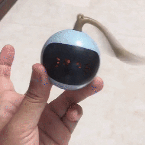 Animated GIF