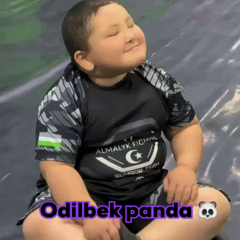 Panda Uzbek GIF