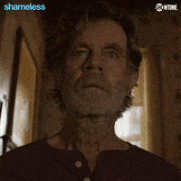 Season 11 Showtime GIF by Shameless