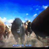 200.gif?cid=fc005b0826b3440dbd50aebf0b9ba4a5b17597d20cabbcc0&rid=200.gif&ct=g