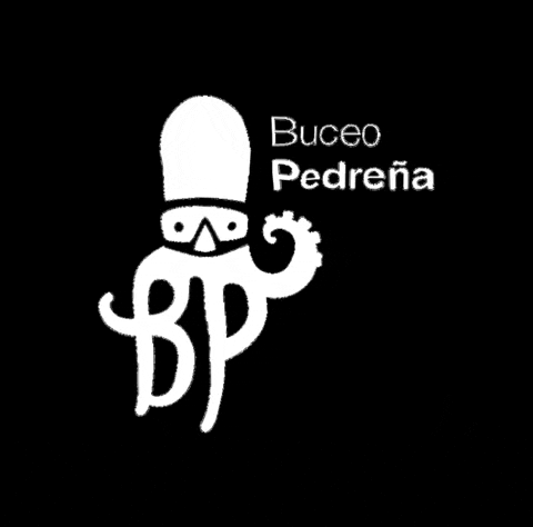 GIF by Buceo Pedreña