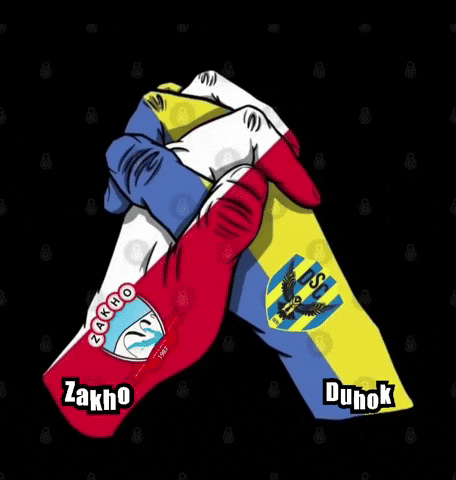 Fifa GIF
