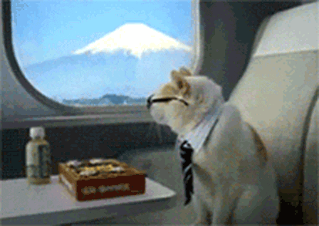 to travel gif