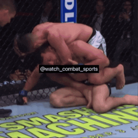 Ufc Mma GIF