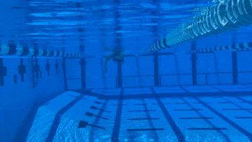 Swimming GIF