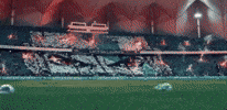 Hfc Alhilal GIF