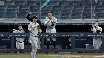 Lets Go Baseball GIF by Jomboy Media