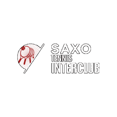 Tennis Interclub Sticker by Tennisenpadelvlaanderen