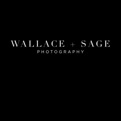 Photography Photo GIF by Alyssa Wallace