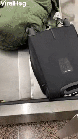 Baggage Claim Spills Block Of Frozen Chicken GIF by ViralHog