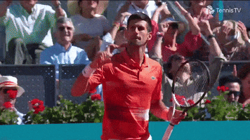 Happy Novak Djokovic GIF by Tennis TV