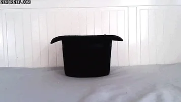 Гороскоп на сьогодні – 23 травня 2017 для Овна, Тельця, Близнюків, Рака, Діви, Терезів, Скорпіона, Стрільця, Козерога, Водолія і Риб