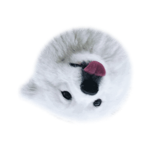 Davide Locatelli Sticker