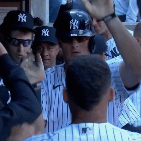 Yankees Fan GIF by Jomboy Media - Find & Share on GIPHY
