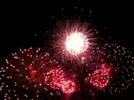 Independence Day Fireworks GIF