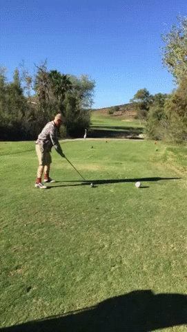 birdie fore GIF