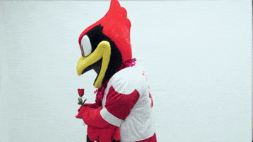 Mascot Reggie GIF by Illinois State University