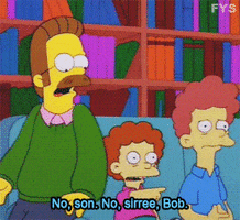 ned flanders todd GIF