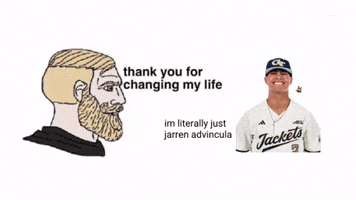 Georgia Tech Gt GIF