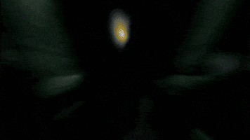 Fall Falling GIF