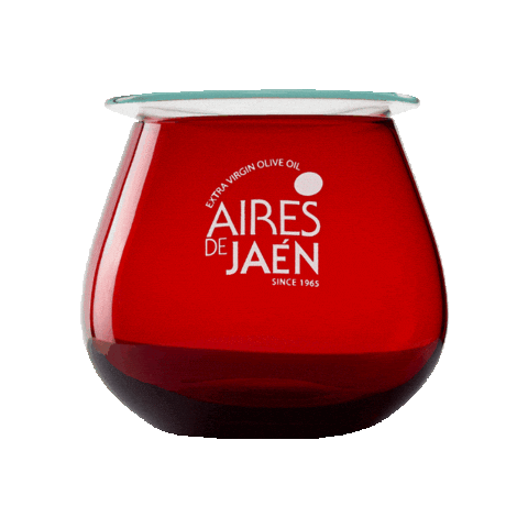 airesdejaen Sticker