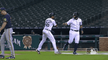 Sport Win GIF by Detroit Tigers