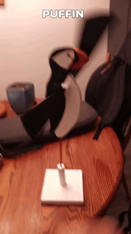 Puffin Windblowers Smallprairiefarm Saskatchewan Whirligigs GIF