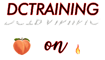 Dct Sticker by DcTraining