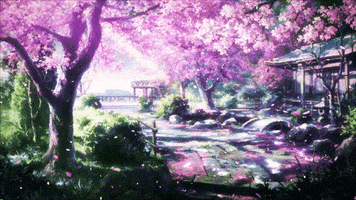 cherry blossoms scenery GIF