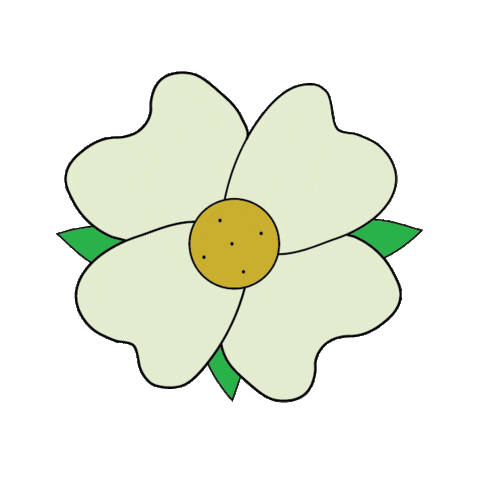 Summer Sticker