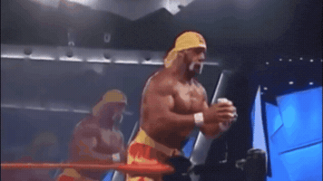 Hulk Hogan What GIF