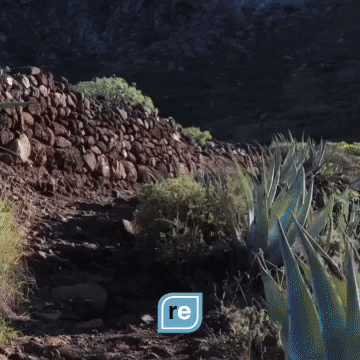 App GIF