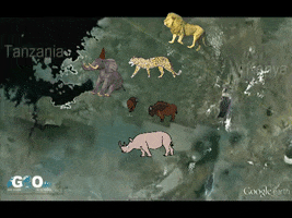Animated GIF