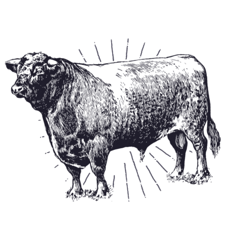 Mary Ellen Hotel Sticker