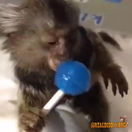 Lollipop GIF