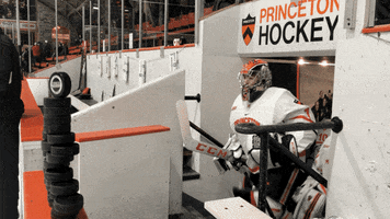 PrincetonAthletics hockey princeton princetontigers princetonhockey GIF