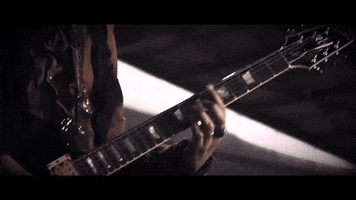 Nereisofficial GIF