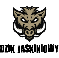 Dziczek Sticker by Studio Kreowania