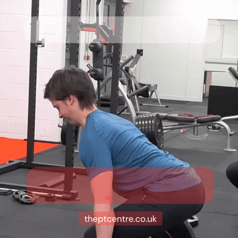 Exercise GIF