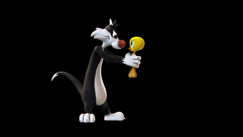 giphy.gif?cid=ecf05e47lt54jkzpemkh2xgz3f