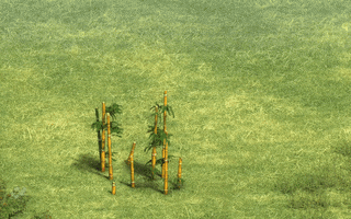 Video Games Woof Woof GIF by Age Of Empires Community