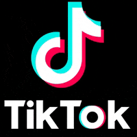 Les réseaux sociaux chez les jeunes, dangereux, stupide et influenceur : l'exemple de TikTok.