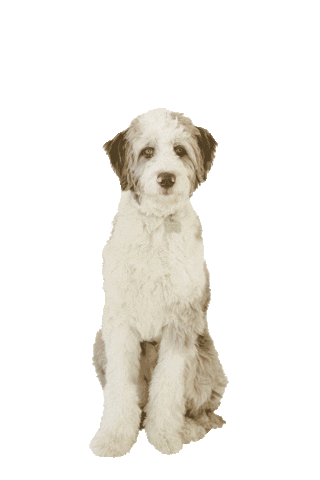 Lucy Eden Design Sticker