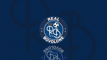 Real Bovolone GIF