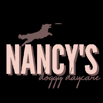 nancysdoggydaycare doggy daycare doggie daycare ndd nancys doggy daycare GIF