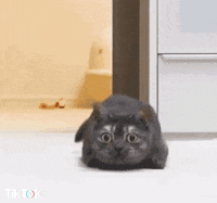 Zizi Gifs Get The Best Gif On Giphy