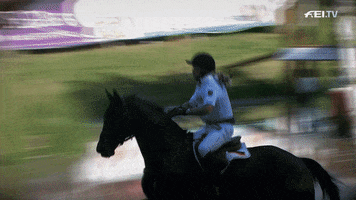 Celebrate Cross Country GIF by FEI Global