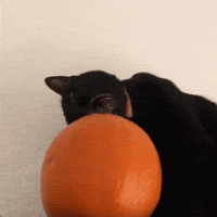 200.gif